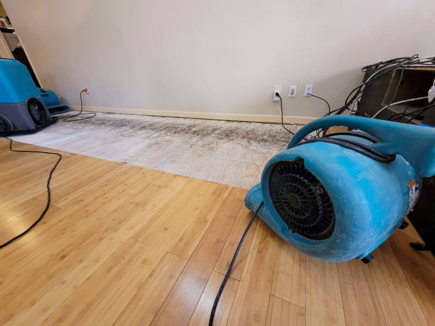 Professional Water Damage Repair technician working in Blairsville, PA